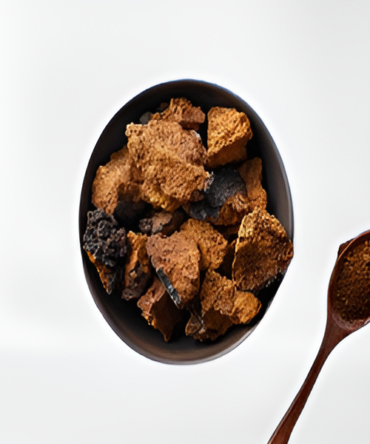 Chaga mushroom