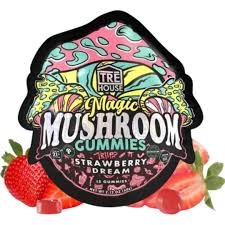 Magic Mushroom Gummies