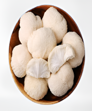 Lion’s Mane Mushrooms